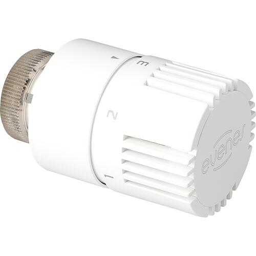 Têtes thermostatiques type "Design", M30 x 1,5 Standard 1