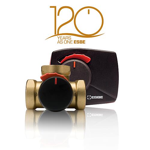 Offre anniversaire : kit complet comprenant le mitigeur VRG 131 et le servomoteur ARA 661 Standard 1