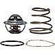 Insert thermique pour vanne thermique Séries TV Standard 1