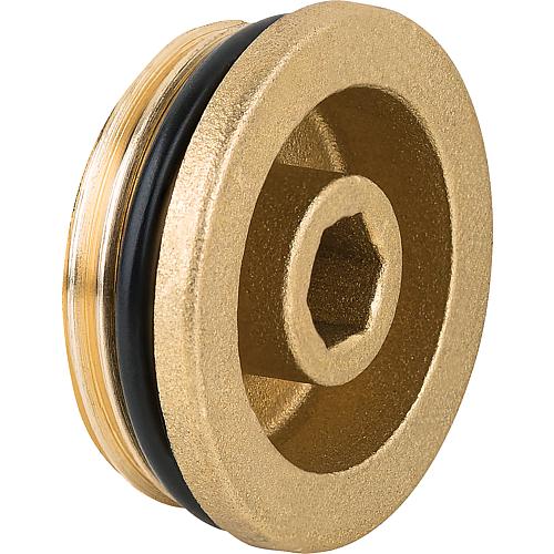 Bouchon, filetage mâle Standard 1