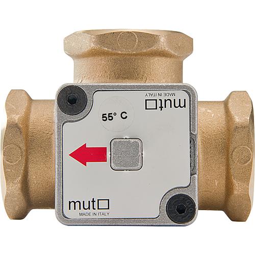 Vanne thermique TM 3000 Standard 1