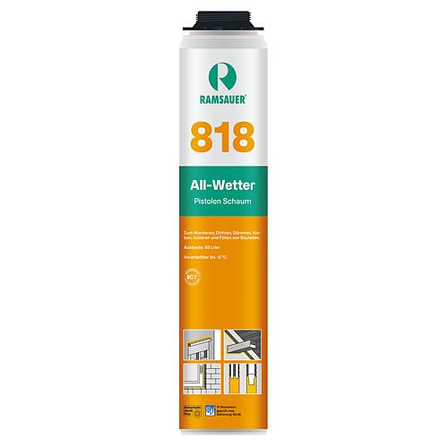 Mousses toutes saisons 818 B2 NBS (Allemagne) boîte 800ml