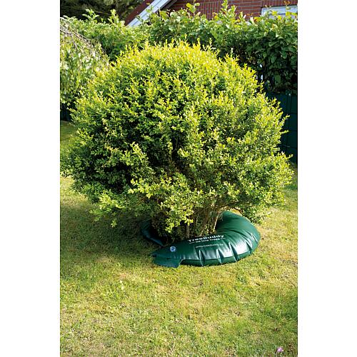 Anneau d'arrosage pour arbres Anwendung 5