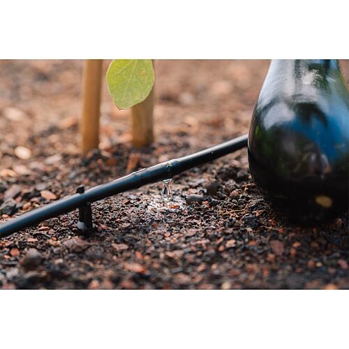 Tube de goutte à goutte Geka Drip System ø 6 mm Anwendung 2