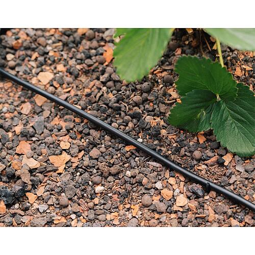 Tube de goutte à goutte Geka Drip System ø 6 mm Anwendung 3