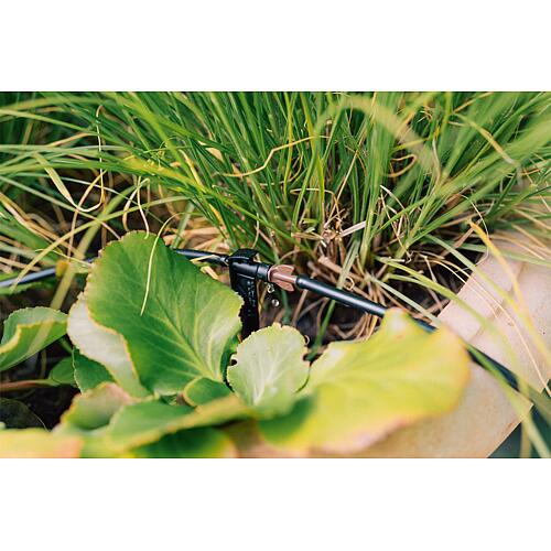 Geka Drip System Goutteurs fin de ligne ø 6 mm Anwendung 3