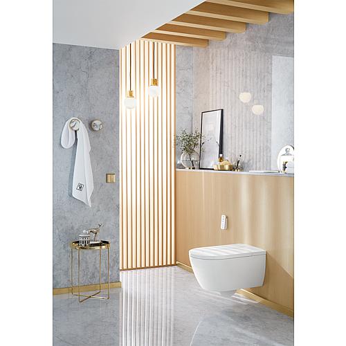 WC-douche-WC ViClean-I 100 Villeroy & Boch Anwendung 3