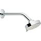 Pomme de douche Modern 5F Standard 1