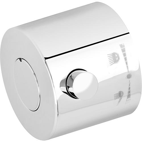 Bouton d´inverseur Standard 1