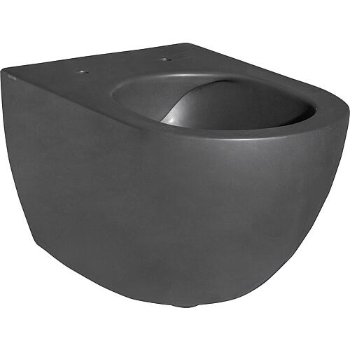 Pack combiné Elanda WC suspendu à fond creux, noir mat, sans bride, avec abattant WC softclose Standard 1