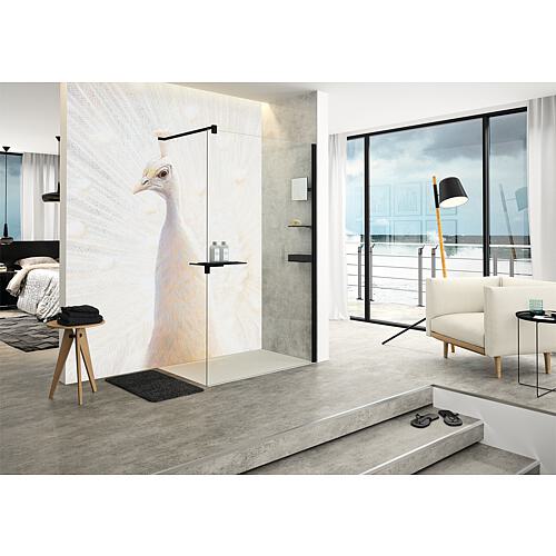 Paroi de douche Walk-In en verre Select+ 8 mm Standard 2