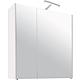 Armoire à glace avec éclairage blanc mat 2 portes 700x750x188mm
