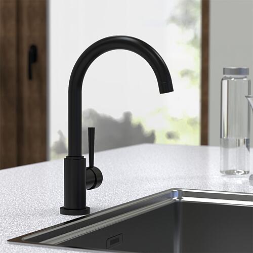 Mitigeur d'évier Malleo Bec orientable, Saillie 185 mm noir mat