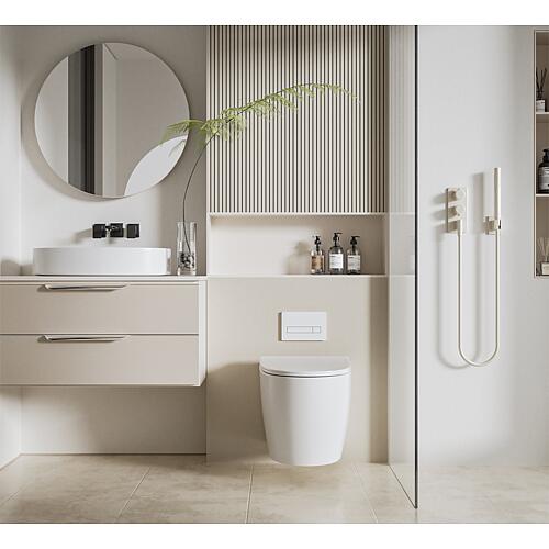 Combi-Pack Araxes, spülrandlos, mit Silent Flush Anwendung 3