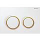 Plaque de commande Omega20, pour rinçage double touche Standard 6