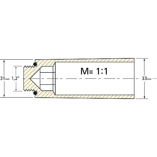Bouchon test DN 15 (1/2") Standard 2