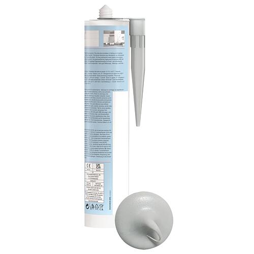 Silicone sanitaire joint gris 310 ml / 1 piece