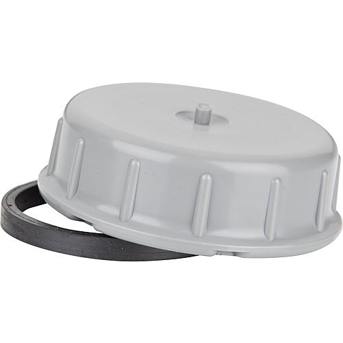 Bouchon de rechange pour raccord de visite Standard 1