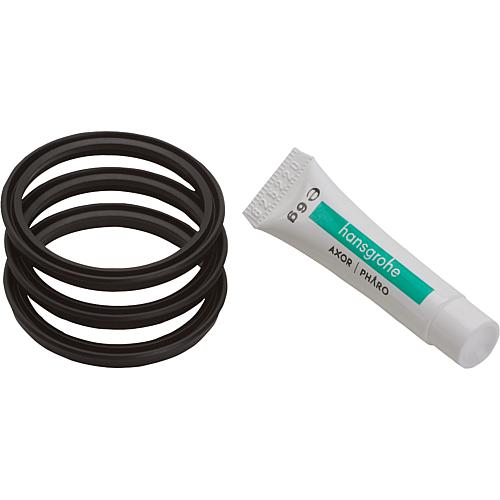 Jeu de joints, compatible Hansgrohe : Allegra, SPTM, Mediano, Talis E, Metropol E Standard 1