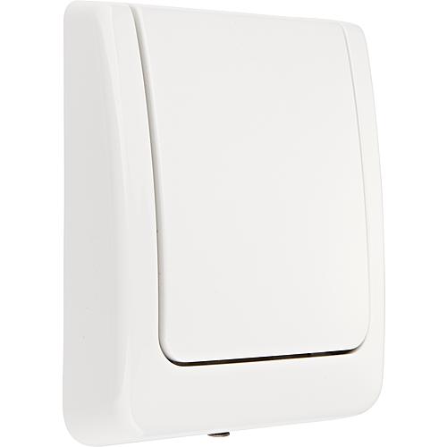 Plaque de fermeture Grohe Classic, blanc alpin, convient pour urinoir Standard 1