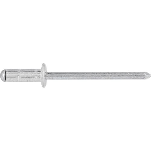 Rivets aveugles aluminium Standard 1