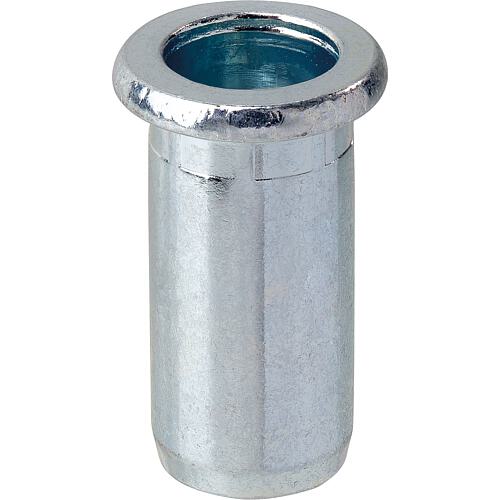 Écrous à sertir borgnes GESIPA PolyGrip, acier, VPE Standard 1