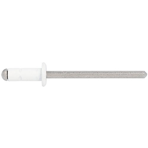 Rivet aveugle PolyGrip alu/Nirosta Ø 4x10, RAL 9010 blanc pure