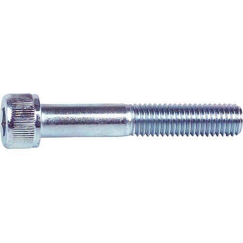 Vis à tête cylindrique à six pans creux, galvanisée 8.8 DIN EN ISO 4762  
