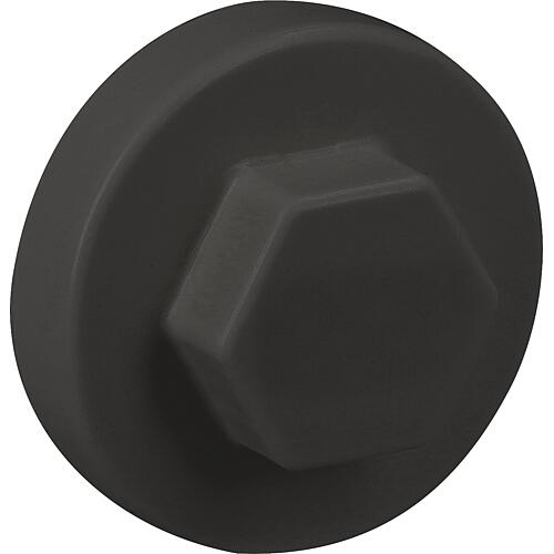 Capuchon Twistec pour vis de construction de façade SW 8. 6kt. Standard 1