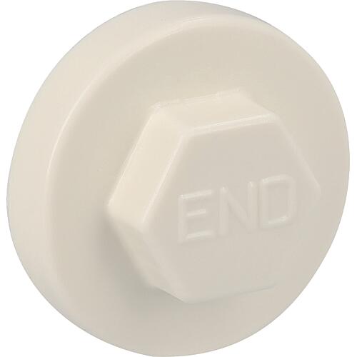 Capuchon Twistec pour vis de construction de façade SW 8. 6kt. Standard 2