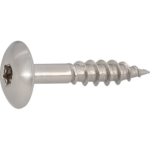 Vis de façade acier inoxydable Twistec Ufo-Color-Head A2 TX20 Standard 1