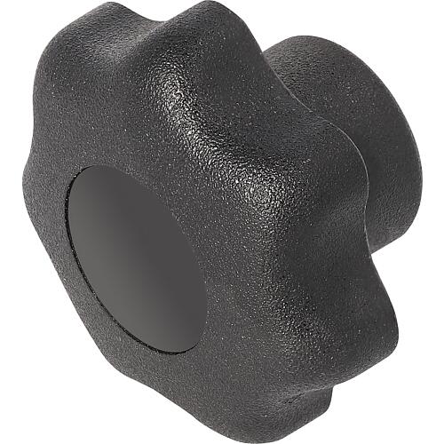 Poignées étoile forme K avec douille filetée, inox Standard 1