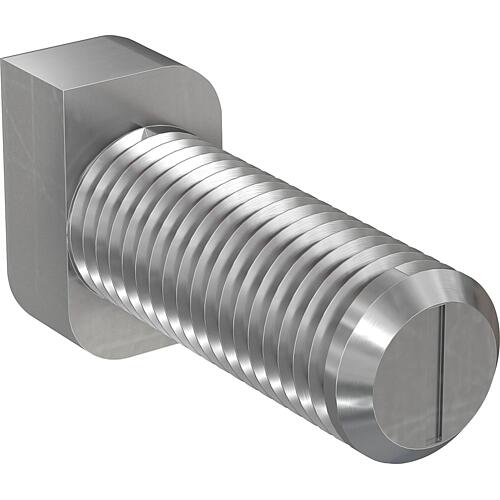 Vis à tête de marteau RHS 8,0x20 Acier inoxydable A2 Cond. 50 Standard 1