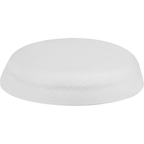 Ancrage de cadre capuchon de recouvrement Standard 1