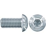 Vis à tête bombée Fischer LKS M12 x 25