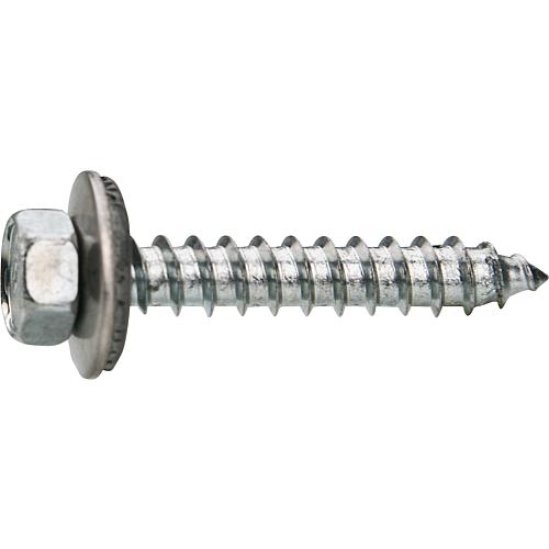 Vis de bardage, inox A2 Standard 1