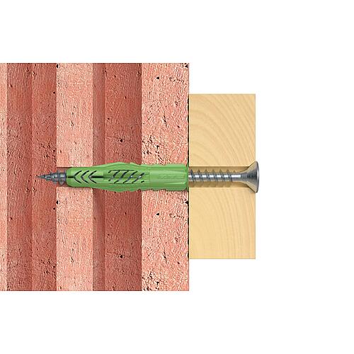 cheville universelle UX Greenline Fischer Anwendung 3
