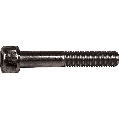 Vis à tête cylindrique à six pans creux 12.9 DIN EN ISO 4762 nues M 5 Standard 1
