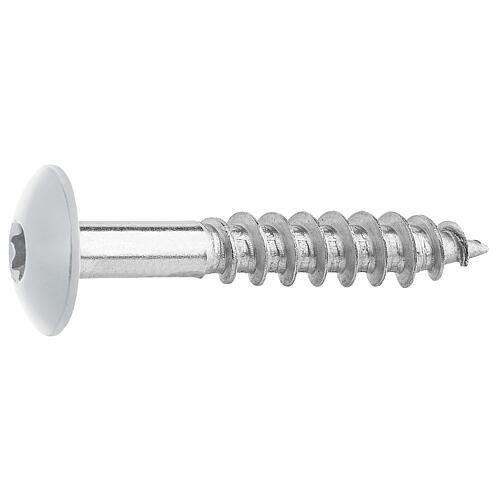 Vis pour panneaux stratifiés A4, 5,5 x 35, RAL 7035 gris, UE : 100