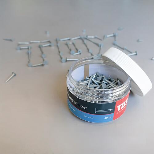 Bâtonnets de feutre de toiture TOX Roof Anwendung 3