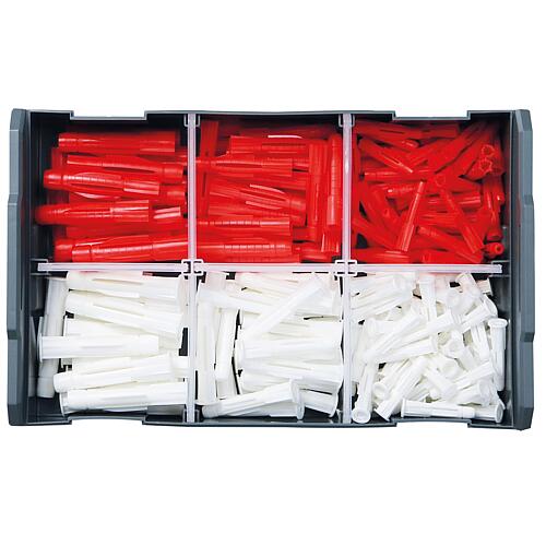 Assortiment de chevilles polyvalentes TRI et TRIKA en L-BOXX® Mini, 200 Pièces Anwendung 1
