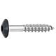 Vis pour panneaux stratifiés A4, 5,5x35 RAL7016 anthracite UE:100