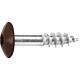 Vis pour panneaux stratifiés A4, 5,5 x 25, RAL 8014 brun sepia, UE : 100