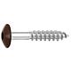 Vis pour panneaux stratifiés A4, 5,5 x 35, RAL 8014 brun sepia, UE : 100