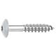 Vis pour panneaux stratifiés A4, 5,5 x 35, RAL 7035 gris, UE : 100