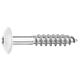 Vis pour panneaux stratifiés A4, 5,5 x 35, RAL 9010 blanc pur, UE : 100