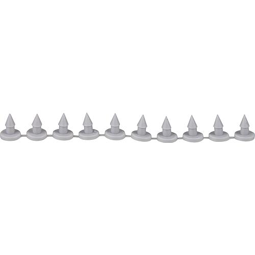 Rivets Standard 1