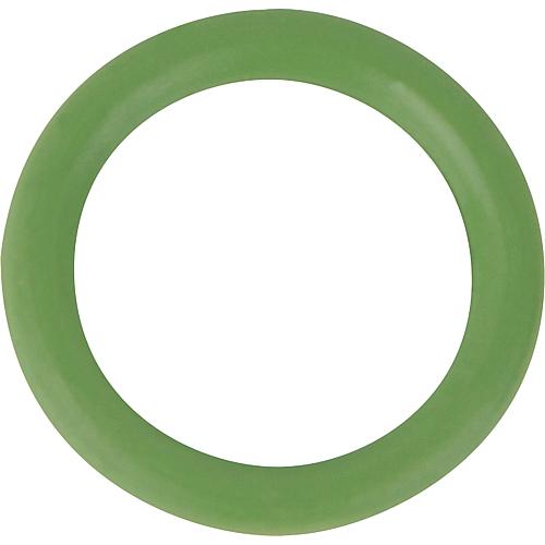 Joint torique de rechange Viton pour tubes de collecteurs sous-vide PR2,09 Standard 1