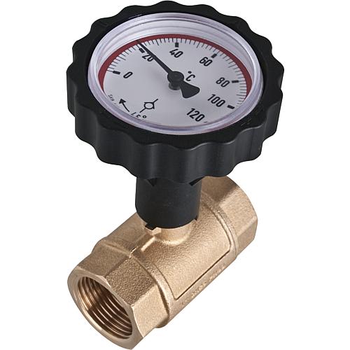 Vanne avec clapet anti-thermosiphon et thermomètre Standard 1