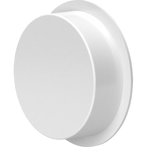 Couvercle aveugle BlauFast RKP, pour Système à tube cylindrique Standard 1